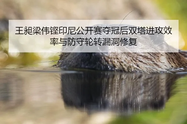 wang-chang-liang-wei-keng-yin-ni-gong-kai-sai-duo-guan-hou-shuang-ta-jin-gong-xiao-lv-yu-fang-shou-lun-zhuan-lou-dong-3-877.jpg