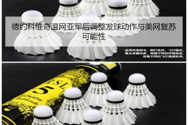 de-yue-ke-wei-qi-wen-wang-ya-jun-hou-tiao-zheng-fa-qiu-dong-zuo-yu-mei-wang-fu-su-ke-neng-xing-3-585.jpg